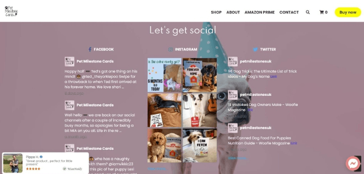 社群媒體內容 社群媒體內容